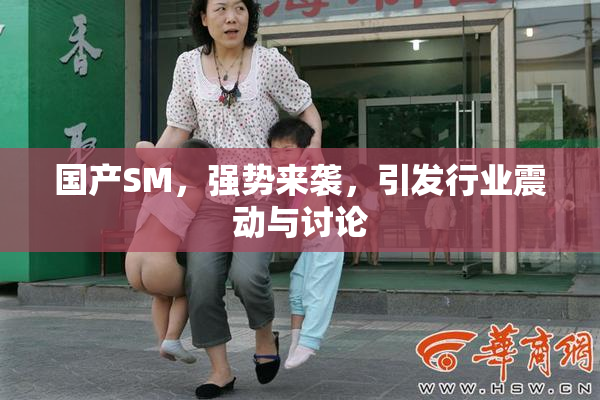 国产SM，强势来袭，引发行业震动与讨论