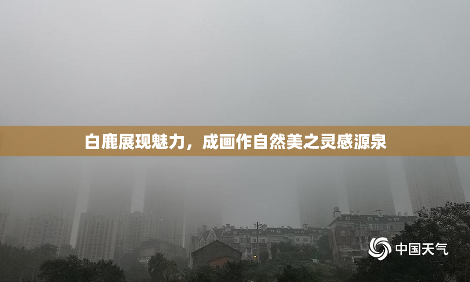 白鹿展现魅力，成画作自然美之灵感源泉