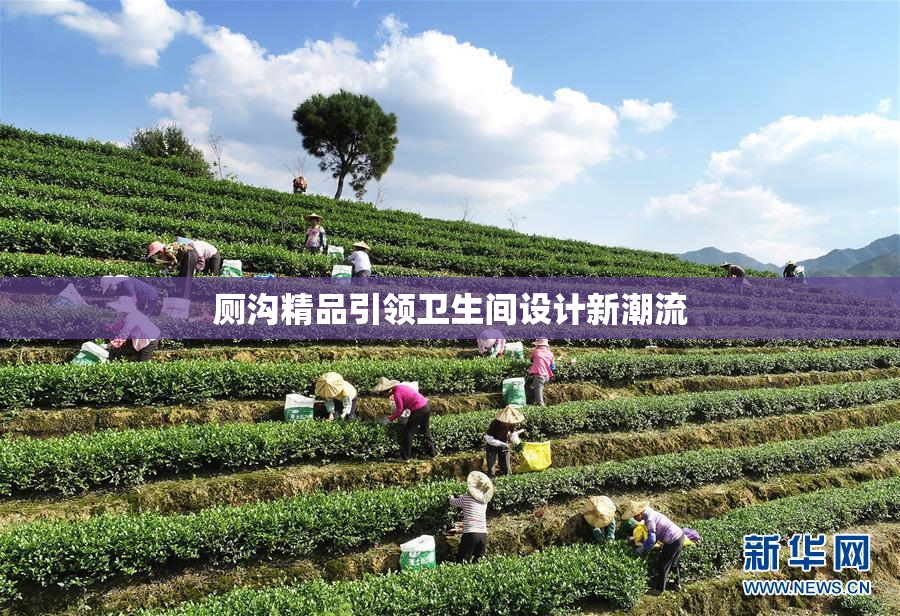 厕沟精品引领卫生间设计新潮流