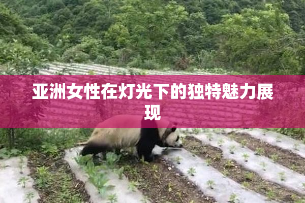 亚洲女性在灯光下的独特魅力展现