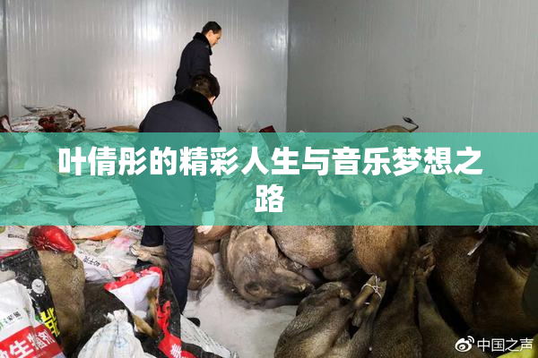 叶倩彤的精彩人生与音乐梦想之路