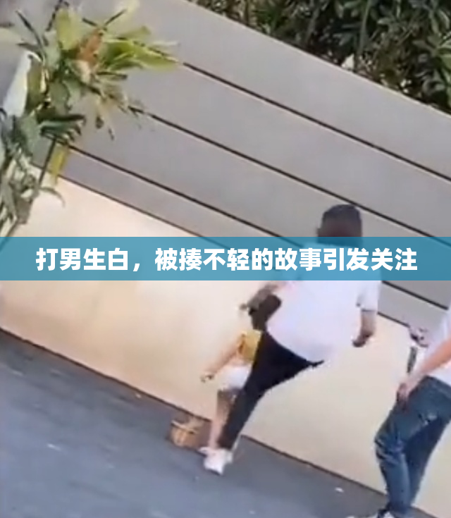 打男生白，被揍不轻的故事引发关注