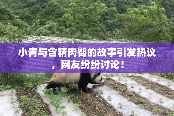 小青与含精肉臀的故事引发热议，网友纷纷讨论！