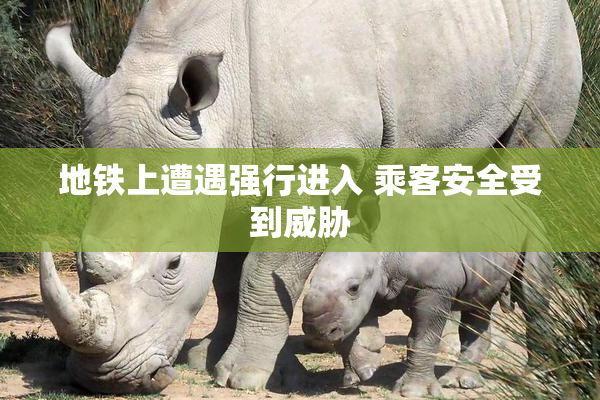 地铁上遭遇强行进入 乘客安全受到威胁