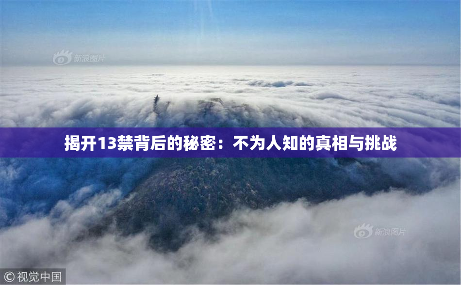 揭开13禁背后的秘密：不为人知的真相与挑战
