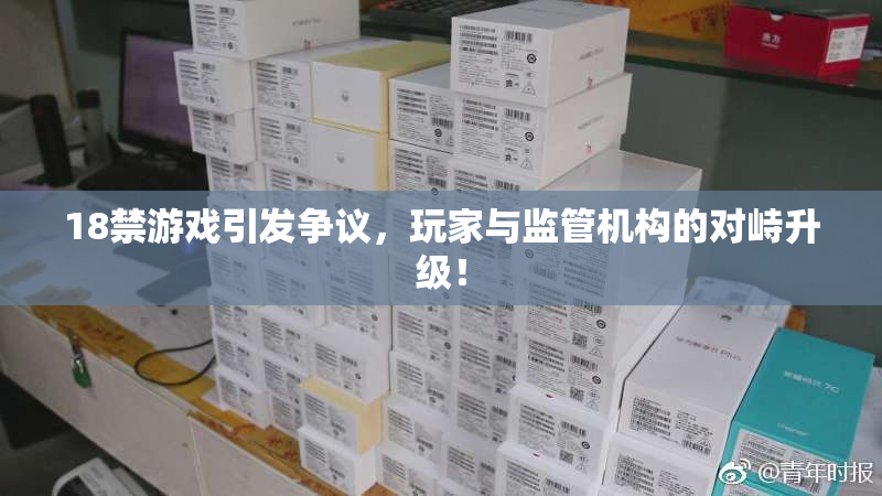 18禁游戏引发争议，玩家与监管机构的对峙升级！