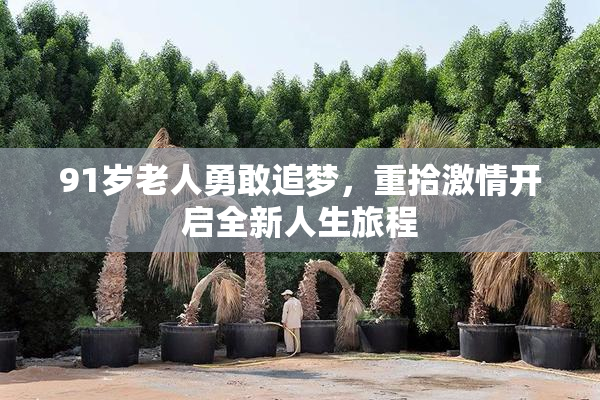 91岁老人勇敢追梦，重拾激情开启全新人生旅程