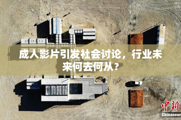 成人影片引发社会讨论，行业未来何去何从？