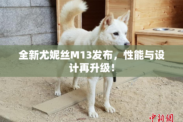 全新尤妮丝M13发布，性能与设计再升级！