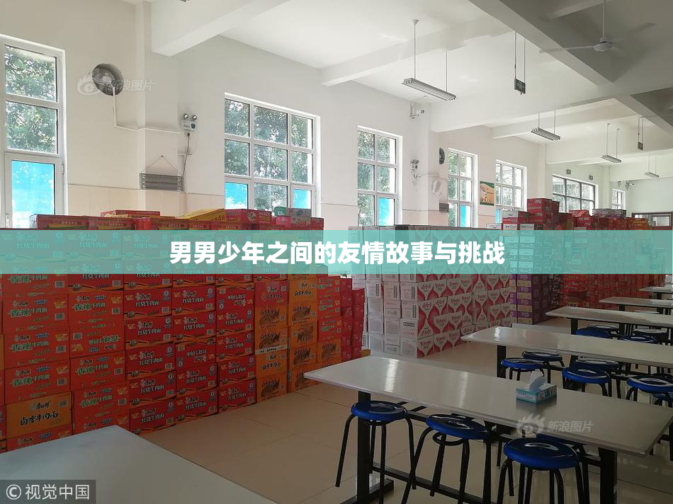 男男少年之间的友情故事与挑战