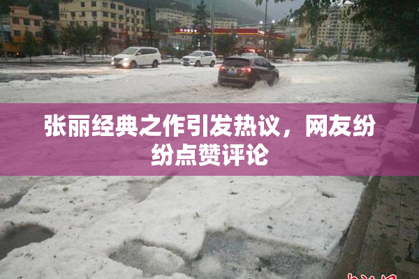张丽经典之作引发热议，网友纷纷点赞评论