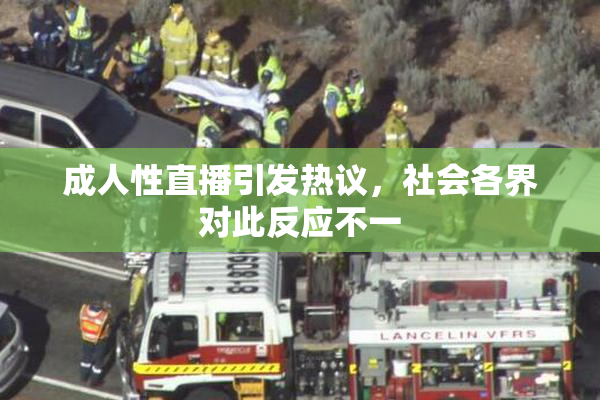 成人性直播引发热议，社会各界对此反应不一