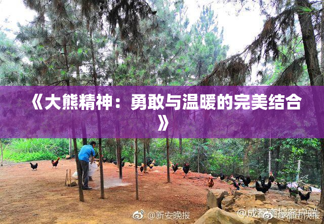 《大熊精神：勇敢与温暖的完美结合》