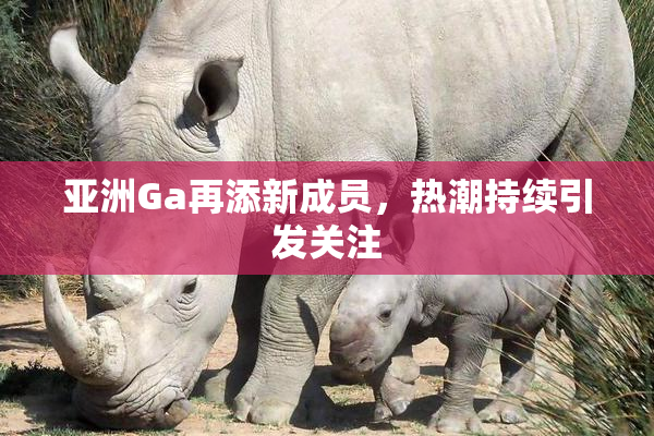 亚洲Ga再添新成员，热潮持续引发关注