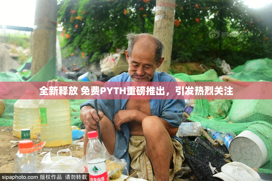 全新释放 免费PYTH重磅推出，引发热烈关注