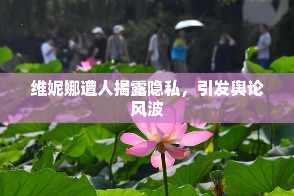 维妮娜遭人揭露隐私，引发舆论风波