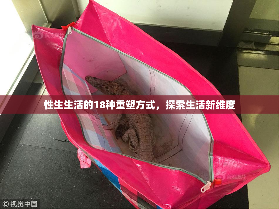 性生生活的18种重塑方式，探索生活新维度