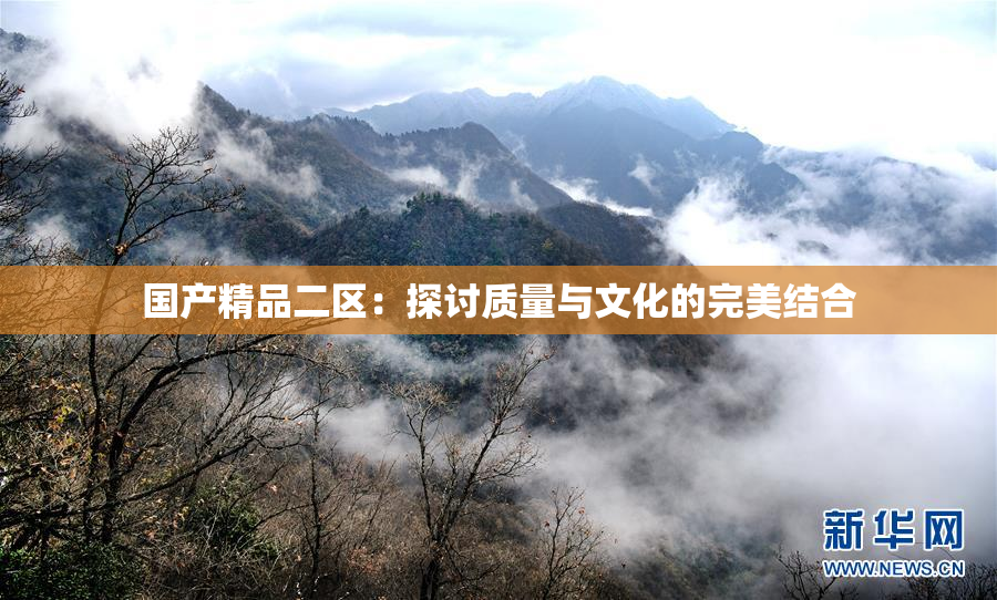 国产精品二区：探讨质量与文化的完美结合