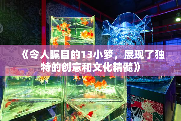 《令人瞩目的13小箩，展现了独特的创意和文化精髓》
