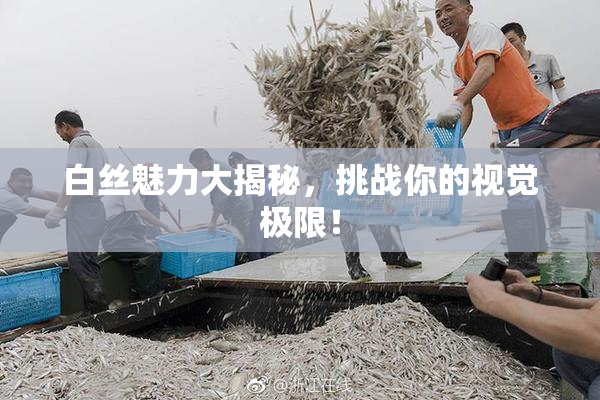 白丝魅力大揭秘，挑战你的视觉极限！