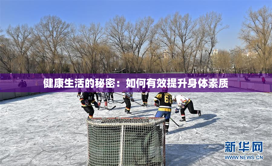 健康生活的秘密：如何有效提升身体素质