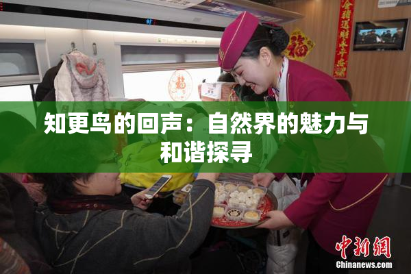 知更鸟的回声：自然界的魅力与和谐探寻