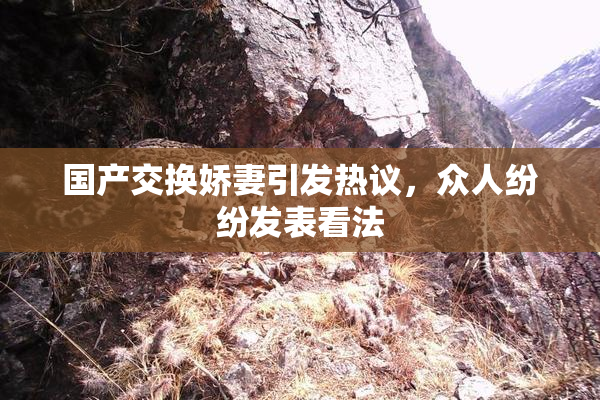 国产交换娇妻引发热议，众人纷纷发表看法