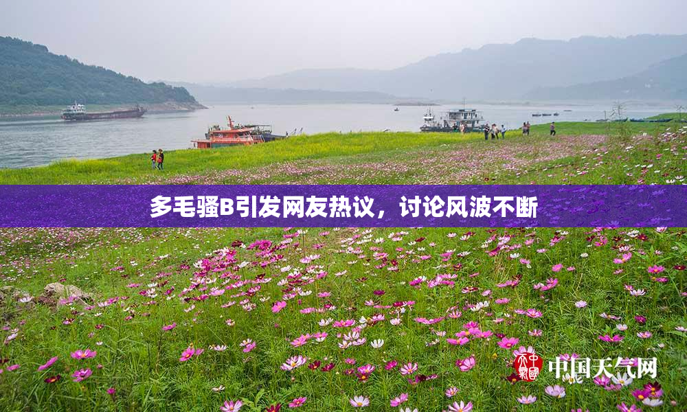 多毛骚B引发网友热议，讨论风波不断
