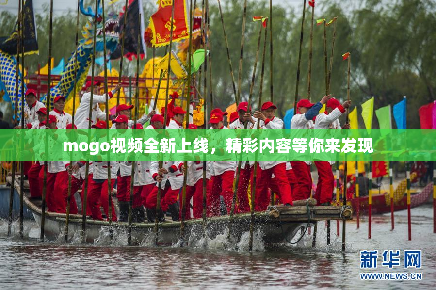 mogo视频全新上线，精彩内容等你来发现