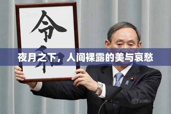 夜月之下，人间裸露的美与哀愁