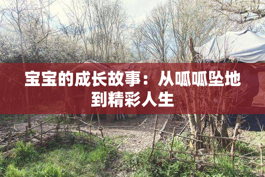 宝宝的成长故事：从呱呱坠地到精彩人生
