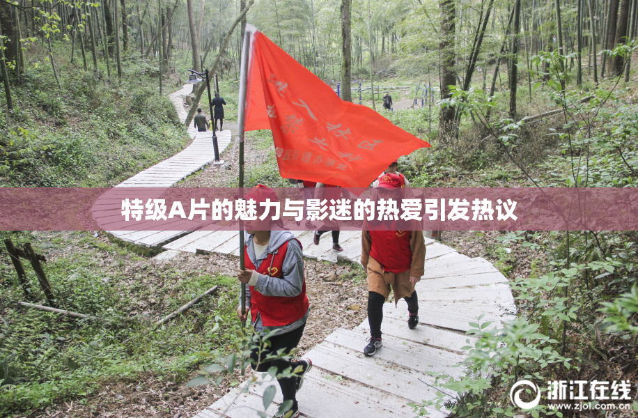 特级A片的魅力与影迷的热爱引发热议