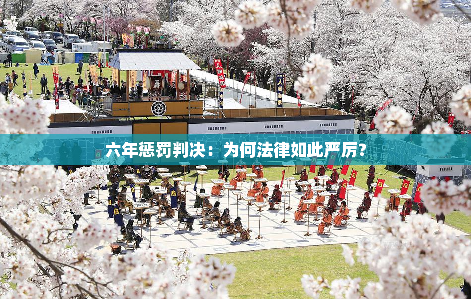 六年惩罚判决：为何法律如此严厉？