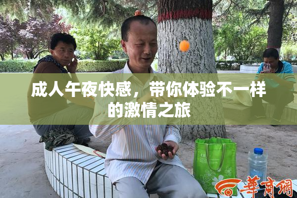 成人午夜快感，带你体验不一样的激情之旅
