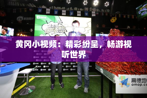 黄冈小视频：精彩纷呈，畅游视听世界
