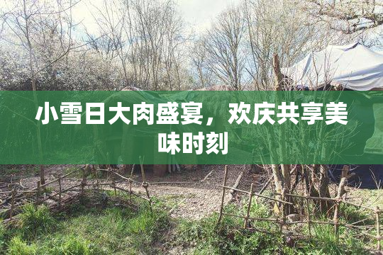 小雪日大肉盛宴，欢庆共享美味时刻