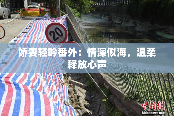 娇妻轻吟番外：情深似海，温柔释放心声