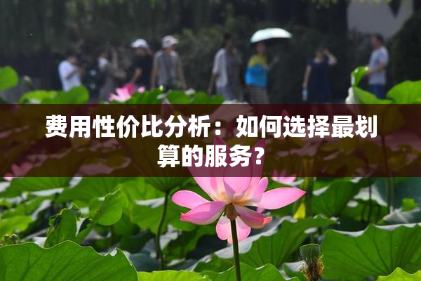 费用性价比分析：如何选择最划算的服务？