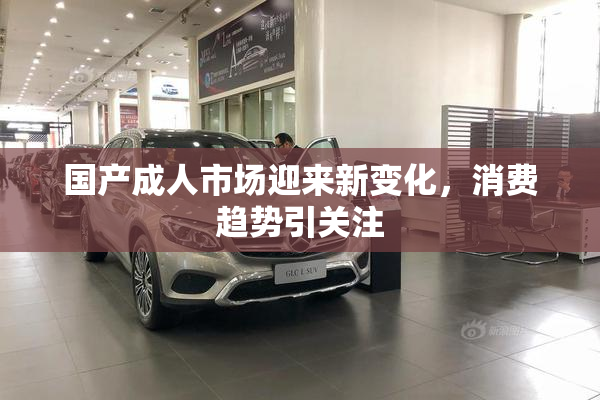 国产成人市场迎来新变化，消费趋势引关注