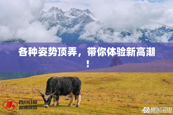 各种姿势顶弄，带你体验新高潮！