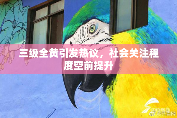 三级全黄引发热议，社会关注程度空前提升