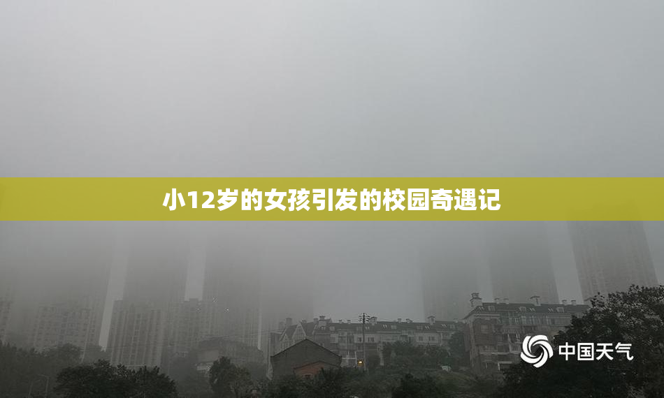 小12岁的女孩引发的校园奇遇记