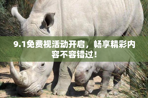 9.1免费视活动开启，畅享精彩内容不容错过！