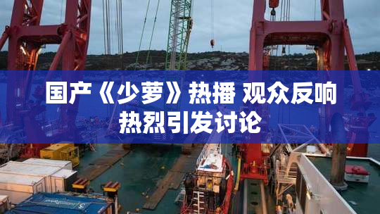 国产《少萝》热播 观众反响热烈引发讨论