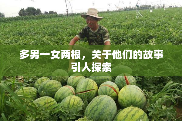 多男一女两根，关于他们的故事引人探索