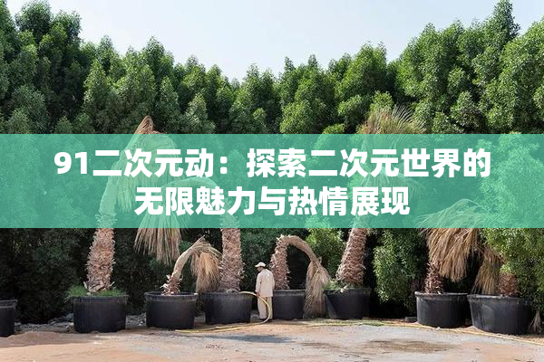 91二次元动：探索二次元世界的无限魅力与热情展现