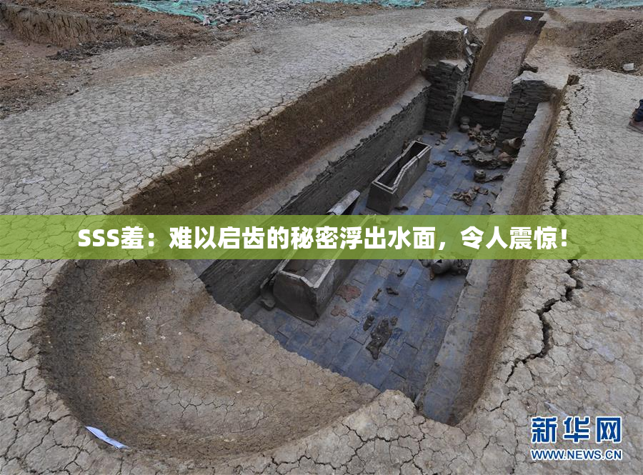 SSS羞：难以启齿的秘密浮出水面，令人震惊！