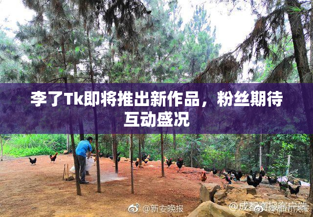 李了Tk即将推出新作品，粉丝期待互动盛况