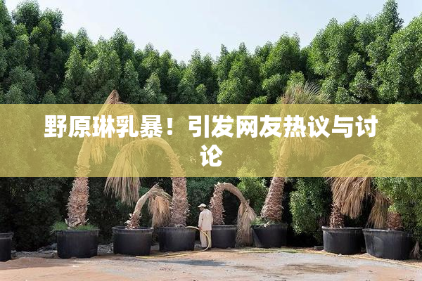 野原琳乳暴！引发网友热议与讨论