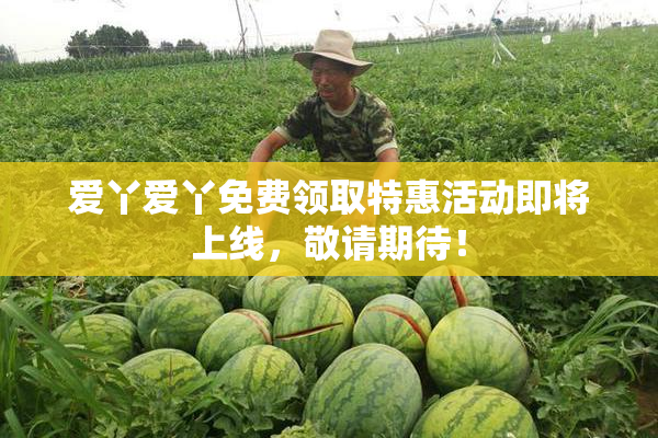 爱丫爱丫免费领取特惠活动即将上线，敬请期待！